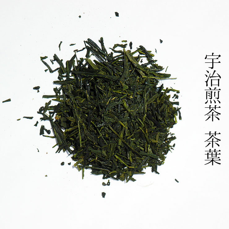 宇治 煎茶 100g×3 (300g) 