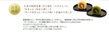 ひと切れ一六タルト「みきゃん・ダークみきゃん」5個入(道後温泉箱）【四国名菓】【ギフト 内祝い 手土産 和スイーツ 和菓子 愛媛】