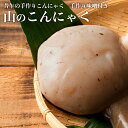 こんにゃく 「山のこんにゃく 3袋セット 手造り味噌付」 送料無料 [ 蒟蒻 昔ながらの手造りこんにゃく 蒟蒻 おかず 刺身 おでん 煮物 食感 歯ざわり 通常...
