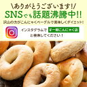 【おすすめベーグル1個増量！】【送料無料】 ベーグル お試しセット 手作り 国産 こんにゃくベーグル 送料無料【選べるこんにゃくベーグル2種類 6個 (3個セット×2組)】セット 冷凍 こんにゃく カロリーOFF パン 蒟蒻 ダイエット食品