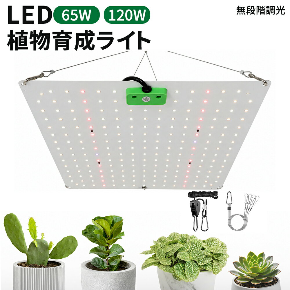 楽天市場】塊根植物育成ライトの通販