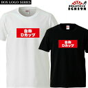 おもしろtシャツ BOXロゴシリーズ 自称Dカップ 男女兼用 ネタT プレゼント 宴会衣装