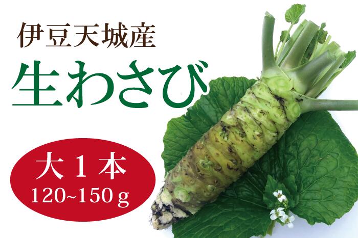 生わさび・大＜1本120~150g＞