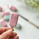 アイス アイスキャンデー 箸置き 箸置 おもしろ 食べ物 アイス アイスクリーム アイスキャンディー ミント いちご 苺 イチゴ 面白い おもしろい 箸 置き ...