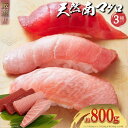流氷南鮪 天然 南マグロ 赤身 400g 中とろ 200g 大とろ 200g 3種800gセット 豊洲直送 天然鮪 天然マグロ 天然 マグロ ご家庭 刺身 まぐ...