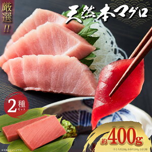 天然本鮪 天然本マグロ 天然本まぐろ 赤身 200g 中トロ 200g 2種400gセット 豊洲直送 プロ厳選 天然マグロ 刺身 まぐろ丼 手巻き寿司 海鮮 お取り寄せ 贅沢 人気 鮪 まぐろ 本マグロ マグロ 本鮪 送料無料 4～5人前