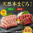 【9/4~11半額!】天然本マグロ おすすめ 赤身 200g 中トロ 200g 2種400gセット 天然本鮪 天然本まぐろ プロ厳選 天然マグロ 刺身 まぐろ丼 手巻き寿司 海鮮 お取り寄せ 贅沢 人気 鮪 まぐろ 本マグロ マグロ 本鮪 送料無料 4~5人前 築地直送 国産 無添加 詰め合わせ