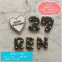 【 推し活 誕生日◎ 6枚~セット (各種選択可)】 ハロウィン アイシングクッキー セット 誕生日 ローマ字 お名前 推し活 名前 数字 メッセージ クッキー ハート ギフト かわいい 文字入れ クッキー プレゼント アイシング クッキー 注文 プチギフト アイシングクッキー