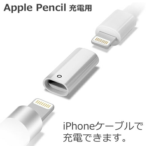 APPLE Pencil用充電コネクタLightningアダプタ(メス-メス)アップルペンシル 充電用apple pencil コネクタ