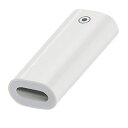 訳あり APPLE Pencil用充電コネクタ Lightningアダプタ(メス-メス)ICONSHOP アップルペンシル 充電用apple pencil コネ...