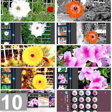 「花とIT」 メッセージカード フラワーインターフェイスA 10枚セット イギリス製 'Floral Interface A'