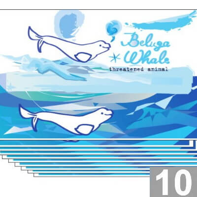 「シロイルカの友だち」ベルーガ メッセージカード 10枚セット フレンズ #絶滅危惧種動物 多目的 "Beluga Whales" 再販