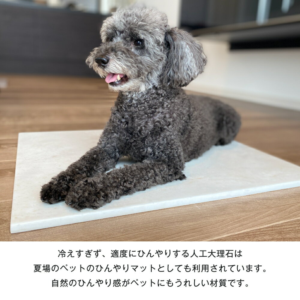 使い方次第でとても便利なプレート人工大理石専門店ならでは特別な商品です 最安値 99 以上節約 パンこね台などに Mサイズ人工大理石 プレート端材なので原価でのご提供美しい人工大理石プレートはお値段以上オーディオボード 作業台 こね台 のし台シーリングスタンプ