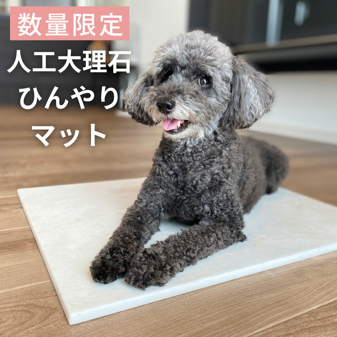 楽天1位獲得商品！最安値！人工大理石プレート　お試し価格　51cm×36cmなどひんやりマットにも　数量限定　ネット限定販売 犬　猫　ひんやり　冷感　熱中症対策　夏 小型犬　ぱんこね台やデスク下の足置きに