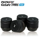 PAPAGO GoSafe TPMS-700^CCZT[yE萔z