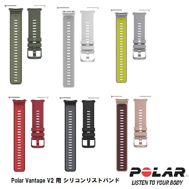 POLARʥݥ顼ˡPolar Vantage V2 ѥꥳꥹȥХS-Lƿ