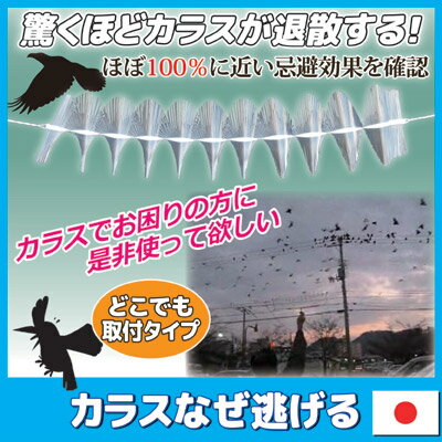 驚くほどカラスが退散する TYN害獣鳥対策研究会が開発したカラス撃退商品です 害鳥...