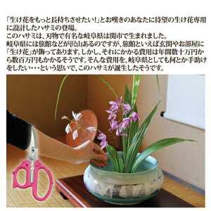 【ポイント10倍】【送料無料】【ゆうパケット】切った花が長持ちする「引き切り」する専用ハサミ●花切専用ハサミ「花切かれず」