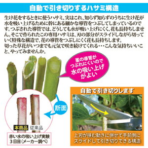 【ポイント10倍】【送料無料】【ゆうパケット】切った花が長持ちする「引き切り」する専用ハサミ●花切専用ハサミ「花切かれず」
