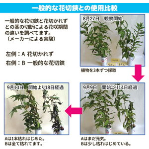 【ポイント10倍】【送料無料】【ゆうパケット】切った花が長持ちする「引き切り」する専用ハサミ生け花長持ち花切生花専用ハサミ鋏刃物日本製関市岐阜ステンレス花切専用●花切専用ハサミ「花切かれず」