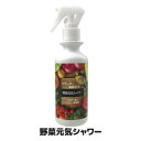 10日に一度のスプレー栄養剤 野菜 ガーデニング ガーデン 畑 園芸 菜園 肥料 有機 上田微生物 日本製 ●野菜元気シャワー