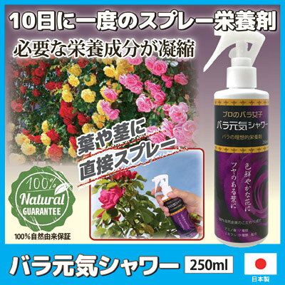 アイデア百選会の10日に一度のバラのためのスプレー栄養剤 バラ 薔薇 ガーデニング ガーデン 園芸 肥料 有機 上田微生物 日本製 ●バラ元気シャワー｜アングル2