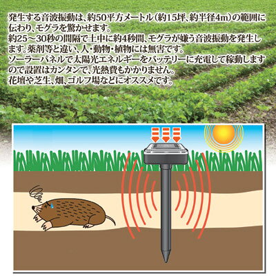 【ポイント10倍】 音波振動でモグラや地ねずみを驚かせる モグラ 対策 撃退 退治 農作被害 ●ソーラー式モグラ撃退器 2本入