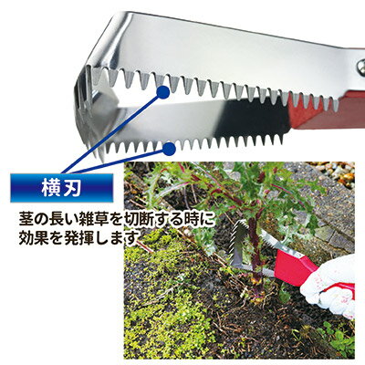 大型ギザ刃と直刃に加えて左右に横刃をサメの歯のようにデザイン 横刃は茎の長い雑草を刈るのに効果を発揮 雑草を削ぎ取ってしまうスゴイヤツ 園芸 園芸用品 草抜き 雑草 最新発見 抜き 道具 ガーデン 除草 Sv 6971 ガーデニング ラク に草取り 庭