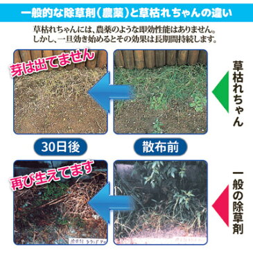 【ポイント10倍】【送料無料】【あす楽】 雑草対策 除草剤 完全 無農薬 安心 無害 無農薬でも強力『除草剤』！ 庭や畑など様々な用途にご使用いただけます ●除草材 草枯れちゃん5kg