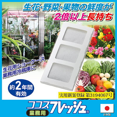 腐敗の原因となるエチレンガスを瞬時に取り除く 冷蔵庫内での使用なら 生花や野菜 果物の鮮度が長持ち 店主も大助かり メーカー直販ストア 送料無料 あす楽 業務用の生花や野菜の鮮度保持材です 花屋さん必見 入れるだけでショーケースのお花が驚くほど