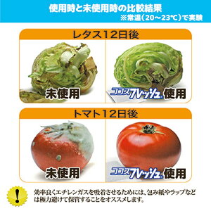 【送料無料】【あす楽】業務用の生花や野菜の鮮度保持材です。花屋さん必見!入れるだけでショーケースのお花が驚くほど長持ちします。●ココスフレッシュ業務用