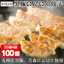 黒豚にんにく餃子 100個 25個入り4袋 九州産黒豚 青森県産にんにく使用 九州産黒豚 国産 黒豚餃子 冷凍食品 送料無料 ギフト 簡単調理 グルメ 餃子 冷...