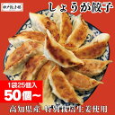 しょうが餃子 50個〜 餃子 生姜餃子 水餃子 送料無料 冷凍餃子 ギフト 肉餃子 スタミナ餃子 ジューシー 鍋 簡単 生餃子 お取り寄せ グルメ 神戸 のし ...
