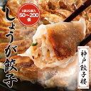 しょうが餃子 50個〜 餃子 生姜餃子 水餃子 送料無料 冷凍餃子 ギフト 肉餃子 スタミナ餃子 ジューシー 鍋 簡単 生餃子 お取り寄せ グルメ 神戸 のし ...