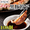 【数量限定】黒豚餃子100個 訳あり 黒豚 鹿児島産黒豚 九州産黒豚 ぎょうざ 冷凍総菜 お弁当 簡単調理 グルメ