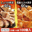 しょうが餃子50個 黒豚にんにく餃子50個 100個セット 餃子 25個入り4袋 送料無料 九州産黒豚 鍋 スープ餃子 餃子 冷凍 水餃子 蒸し餃子 黒豚 国産...