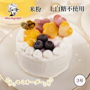 【同時購入1000円引き】 犬用 ケーキ 誕生日 【いちごのホールケーキ】 犬 プレゼント ギフト 犬のケーキ 無添加 国産 いちご 苺 米粉 ドッグフード ペット フード 中型犬 大型犬 3号
