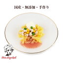 犬用 ご飯 チキン 【いちごのクリームチーズパスタ】 犬 ごはん ドッグフード 鶏肉 苺 国産 シニア トッピング ペット フード パスタ