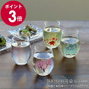 丸モ高木陶器 冷感 日本四季 フリーグラス 4点セット 【春夏秋冬 日本製 フリーグラス揃 ギフト 結婚祝い プレゼント 贈り物 母の日 食器セット ギフトセッ...