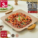 ドクターハウス ソリッド グリルパン Dr.HOWS SOLID 【マルチグリドル キッチン 調理器具 ギフト 結婚祝い プレゼント お中元 贈り物】【キッチン用品】【ギフト】