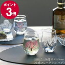 丸モ高木陶器 冷感 フリーグラス ペア(2個入り) セット 【日本製 ギフト 結婚祝い プレゼント 贈り物 お中元 食器セット ギフトセット 新生活】【プレゼント ギフト】【食器 カトラリー】【ギフト】