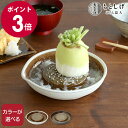 もとしげ おろし器 大 【元重製陶所 石見焼 すりおろし器 キッチン ギフト 結婚祝い プレゼント 贈り物 母の日】【キッチン用品】【ギフト】