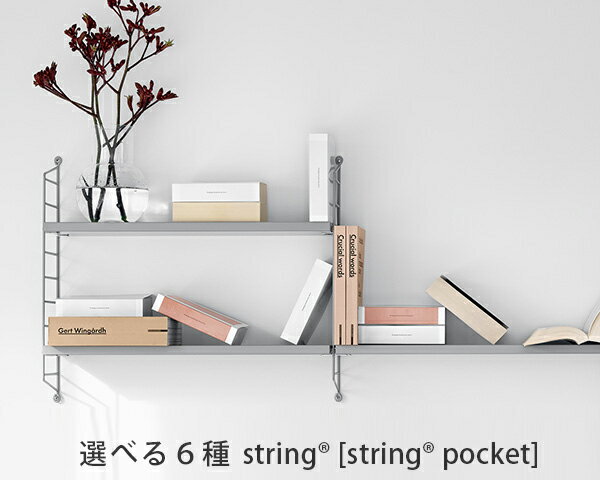 選べる6種 ストリング 「ストリング ポケット」 string &reg; [string &reg; pocket］ (他の商品との同梱不可) 【収納棚】