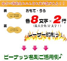 【11/19新発売】【レビュー記入で送料無料】ピーナッツ名刺150粒作成制作印刷(ガラス瓶入り)名入れ【オリジナルデザイン名刺】【両面モノクロ】【レーザー印刷】arigato01【賞味期限:約90日】【納期目安:5営業日】【落花生】【豆】【送料無料】名刺入れ