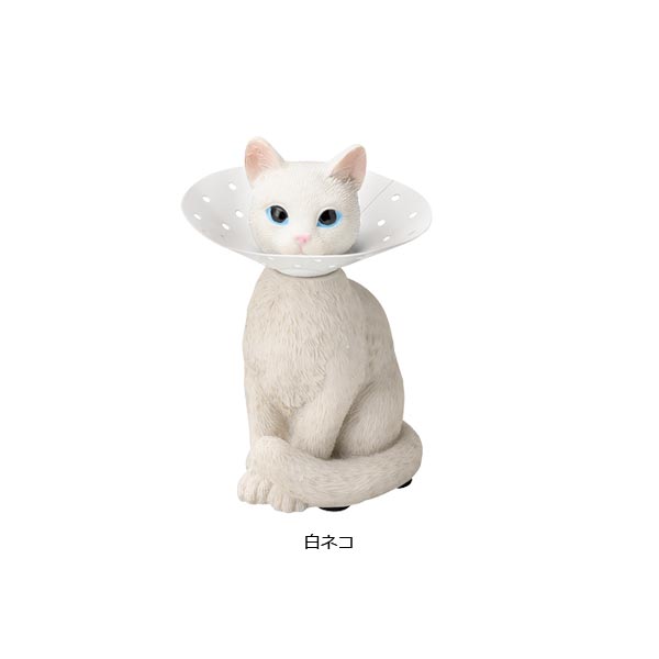 ねこのピアスホルダー ネコ 猫 グッズ ピアスホルダー アクセサリーホルダー 収納 かわいい インテリア ハチワレ 白ネコ ブランド セトクラフト ギフト 贈り物 プレゼント おもしろ雑貨の商品画像 3