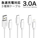 USBケーブル 3.0A 延長 1M a to c タイプC タイプA ライトニング TypeC TypeA Lightning 急速 充電 ケーブル タイプ C iphone se 15 14 13 12 11 10 android アンドロイド スマホ スマートフォン Switch 充電ケーブル