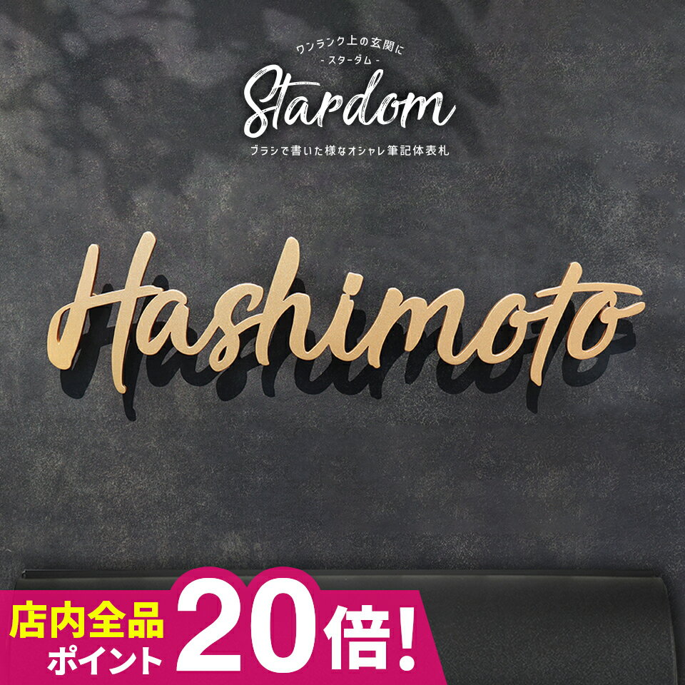 【超得クーポン配布中！！】表札 ステンレス 表札 戸建 アイアン 貼り付け 切り文字 筆記体 二世帯 オ..