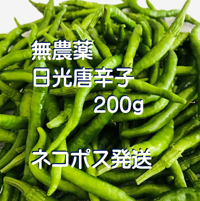 楽天市場】無農薬 青唐辛子の通販
