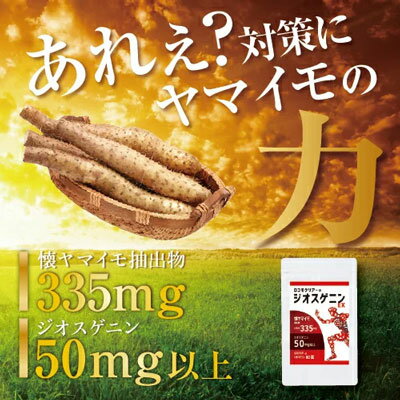 �������͹�ء�����̵���ۥ����⥯�ꥢ�������������˥�EX��250mg��60γ