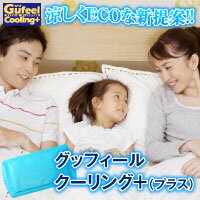 グッフィールクーリングプラス 『節電対策に！快眠涼感枕で快適温度をキープ！』【マラソン201302_趣味】【RCP】のサムネイル